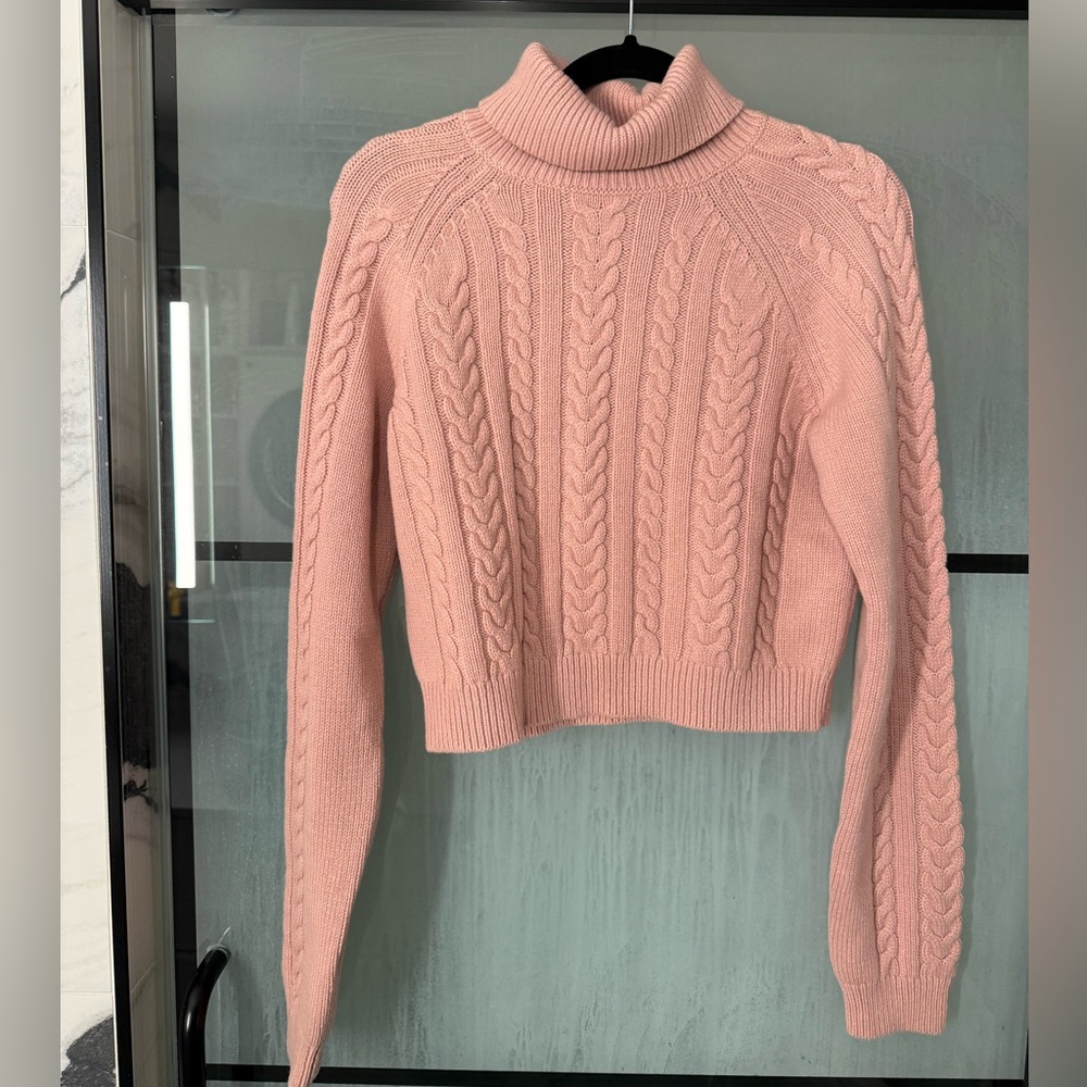 NWOT Aritzia Turtle Neck
